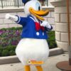 Donald Duck Mascot Costume