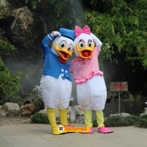 Donald Duck and Daisy Duck Costume