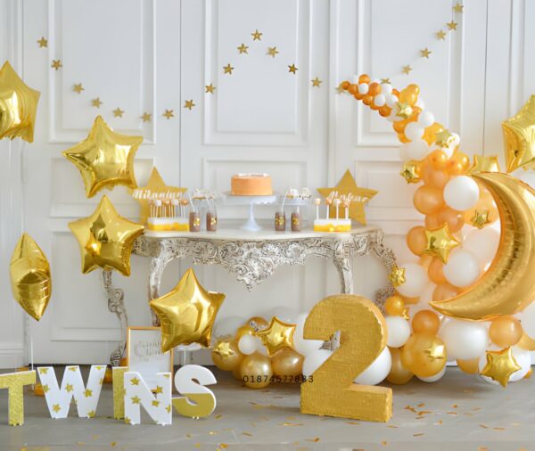 Twin Birthday Party Decorations